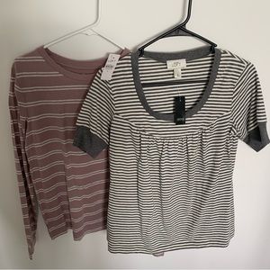 Loft size medium shirts Nwt